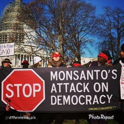 Stop Monsanto