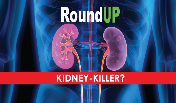 roundup kidney killer