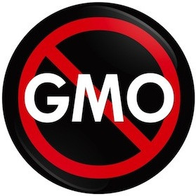 no GMO