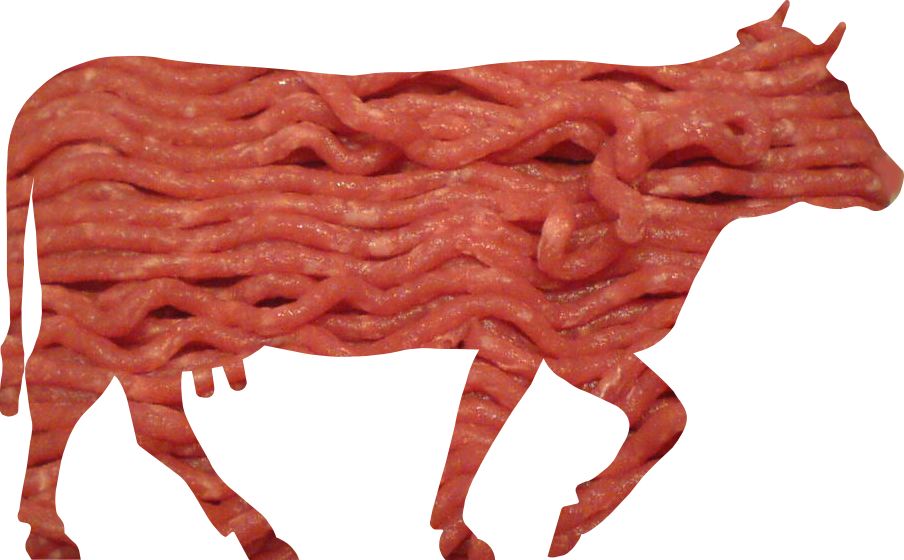 minced beef meat cow cattle