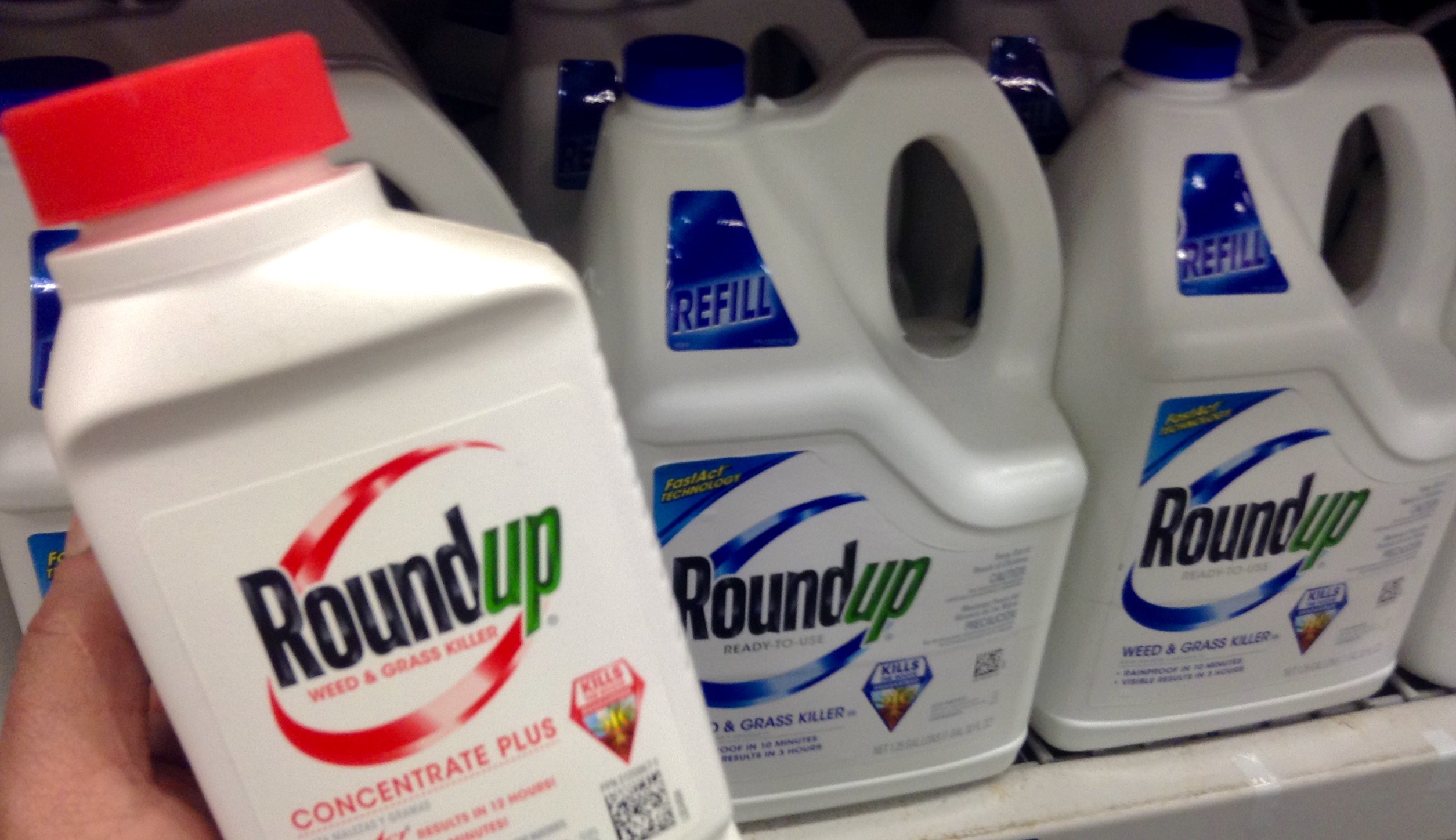 roundup concentrate
