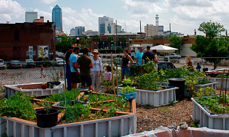 Urban Farms and Gardens Are Feeding Cities Around the World