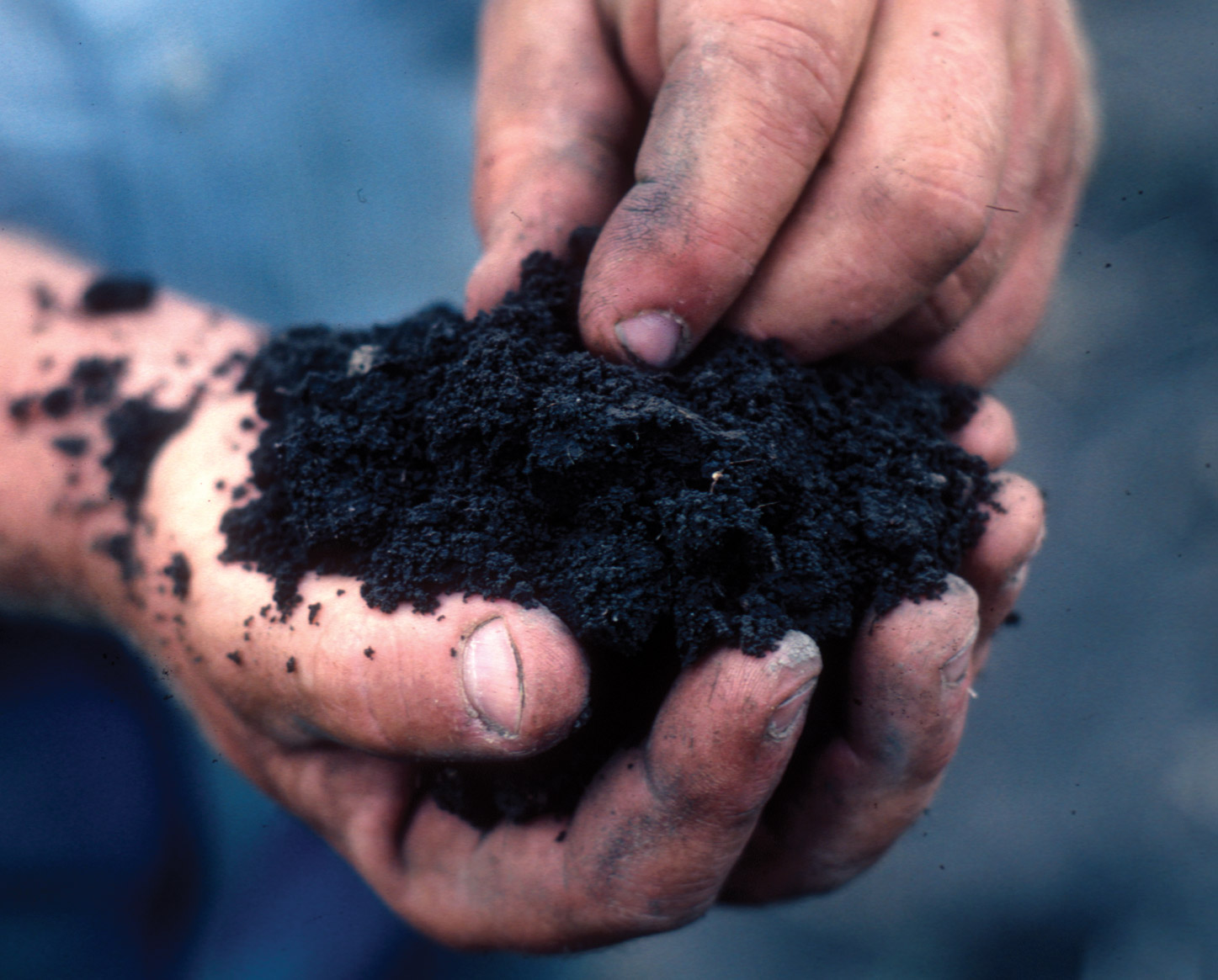 touch healthy soils