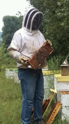 Faces and Places: Bee Farming in the Ozarks