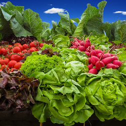 vegetables_produce_sky_250x250