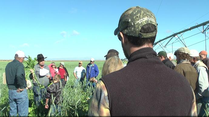 Local farmers take a look at the benefits of cover crops