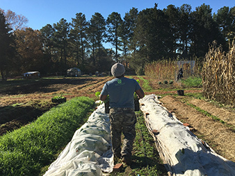 How veterans are growing a crop of sustainable farms in the U.S.