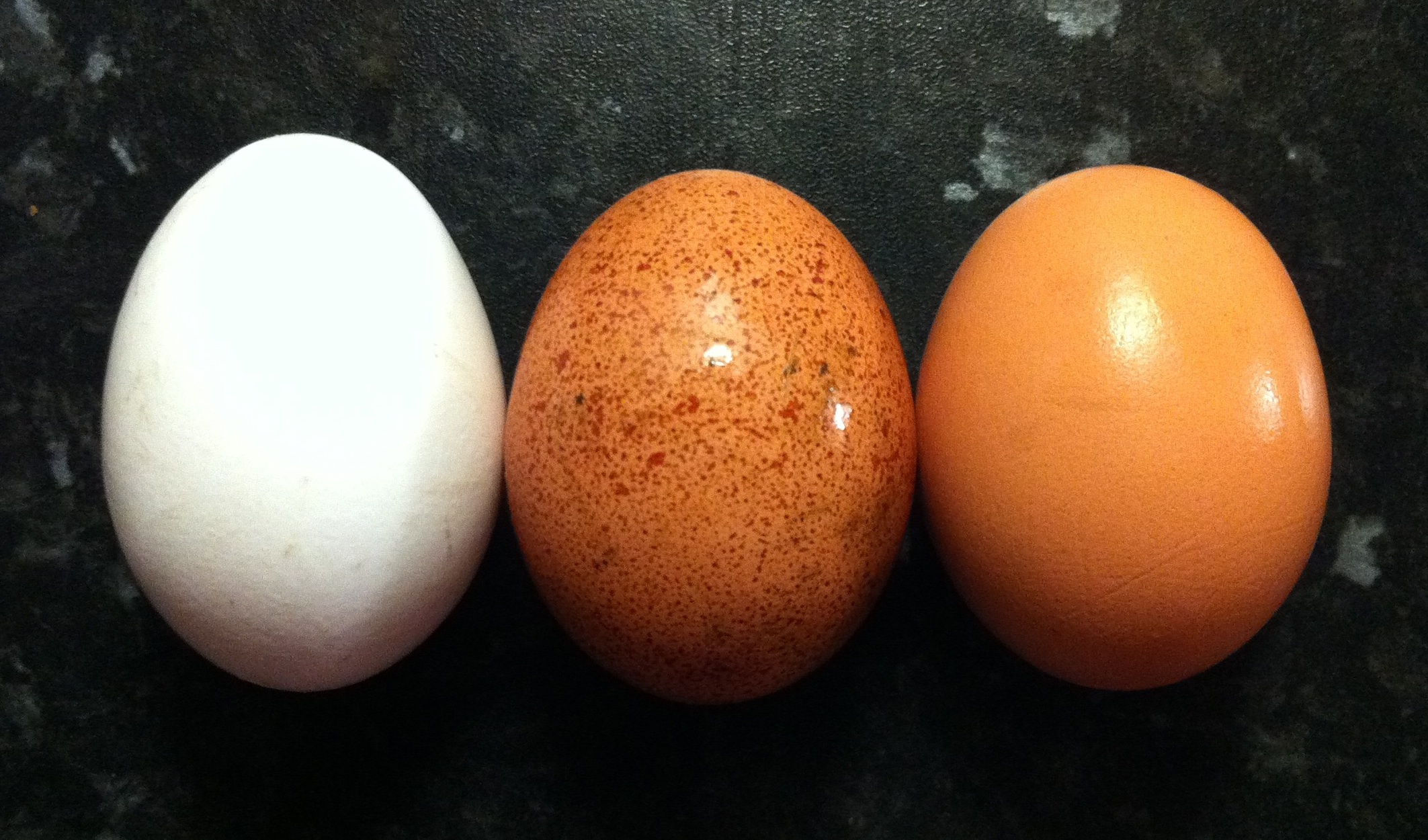 egg colours