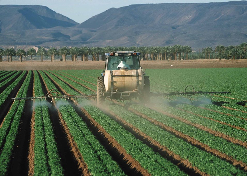 pesticides on lettuce
