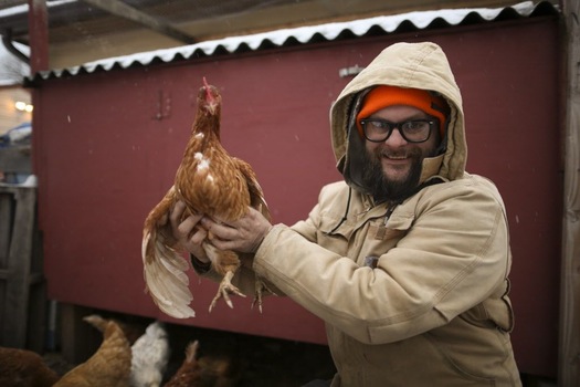 Minneapolis OKs eased rules for keeping chickens in city, among other changes