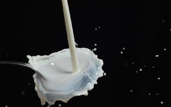 Wisconsin Lawmakers Moo-ve on Raw Milk Sales Bill