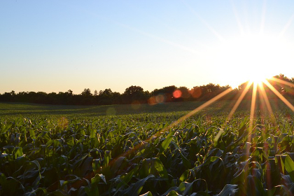 USDA certified organic farmers in Tennessee can now seek reimbursement from state