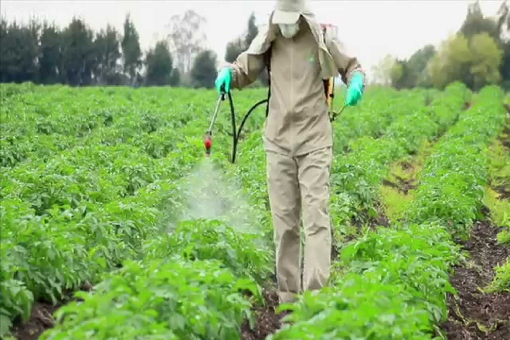 pesticides 1000x667