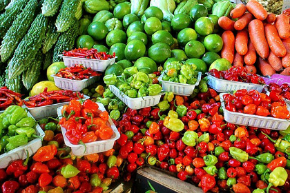 Fresh vegetables at a Farmers Market