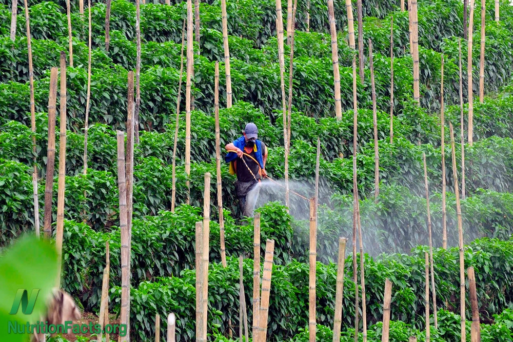 Man spraying crops with pesticides