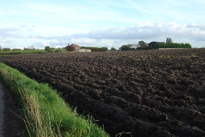 Loamy fields