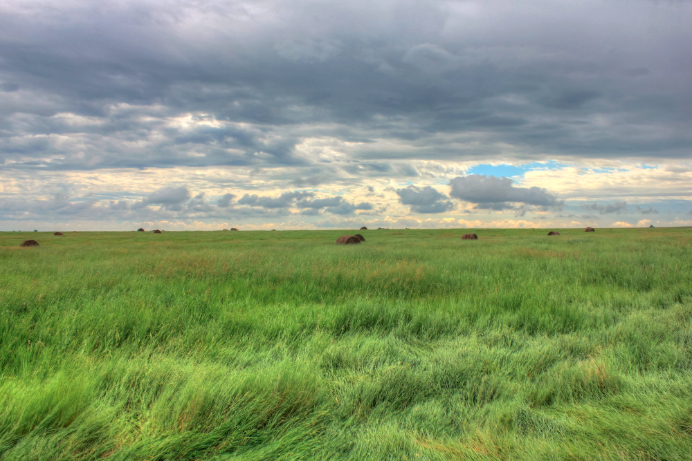 Scenic colorful day on the fields at White Butte, North Dakota