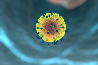Immune system fighting a virus