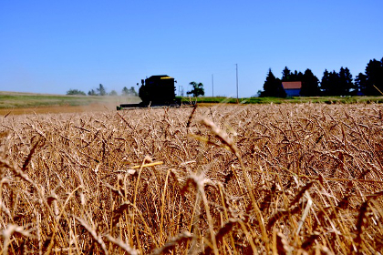 Farmer on large machine in North Dakota wheat field