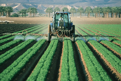 Farmer in machine spraying crop rows