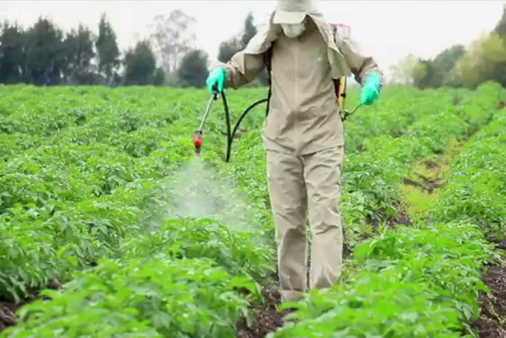 Spraying Herbicide Atrazine