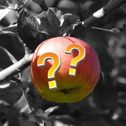 Colorful apple with question marks on a black and white background