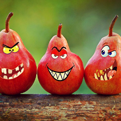 Set of three pears with mean faces