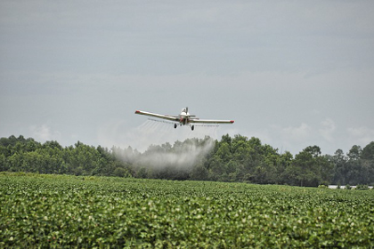 Crop Duster Spraying Crops with Herbicides