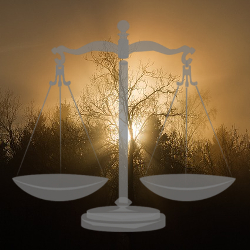 Set of judicial scales in front of a sunset by a forest