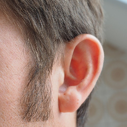 Side of a man's face showing his ear