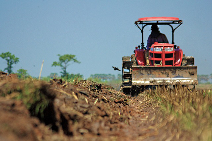 Farmer on tractor among crop rows