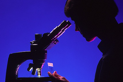 Scientist examining a slide with a microscope