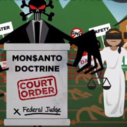 Screenshot from Progressive Source's video on the Monsanto Doctrine