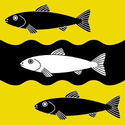 Different colored fish on a yellow and black background