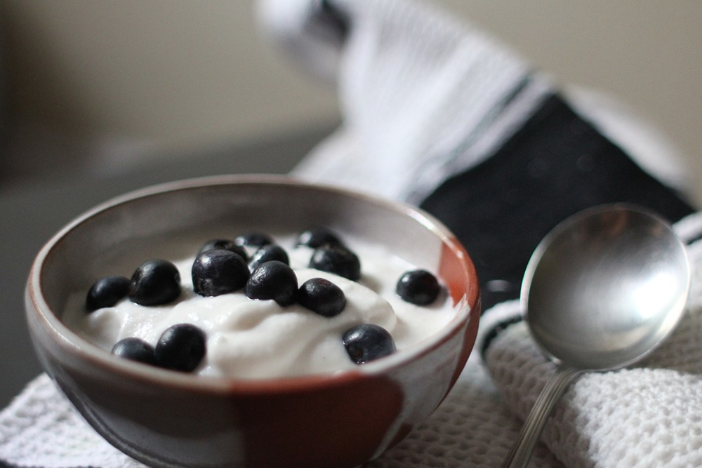 Bowl of yogurt topped with blueberries