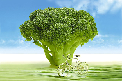 Very large broccoli stalk next to a bicycle