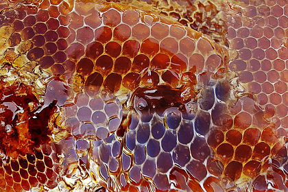 Honey dripping out of a honeycomb