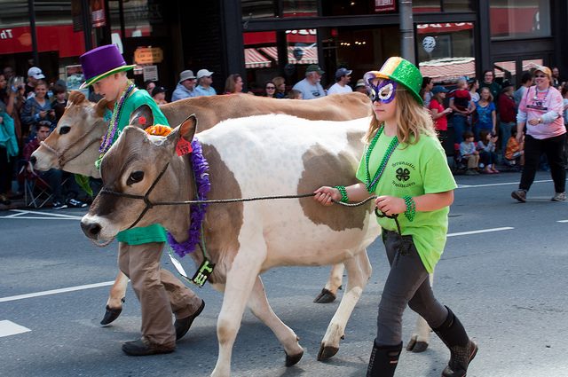 strolling_of_the_heifers_parade