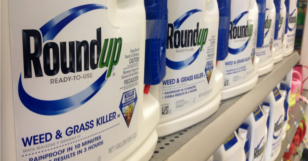 Row of jugs of Roundup on the shelf at a store