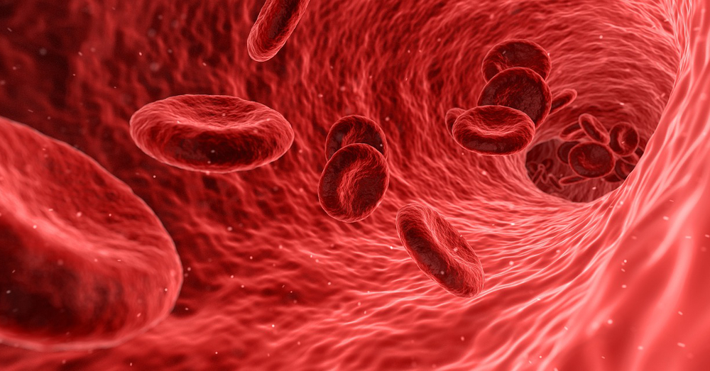 Red blood cells floating through a stream of blood