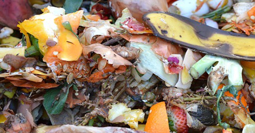 Composting food waste