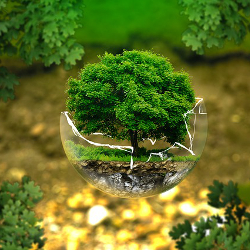 Tree coming out of a globe in a forest