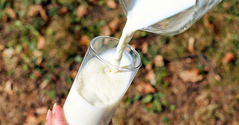 Pouring a glass of milk outdoors by the grass