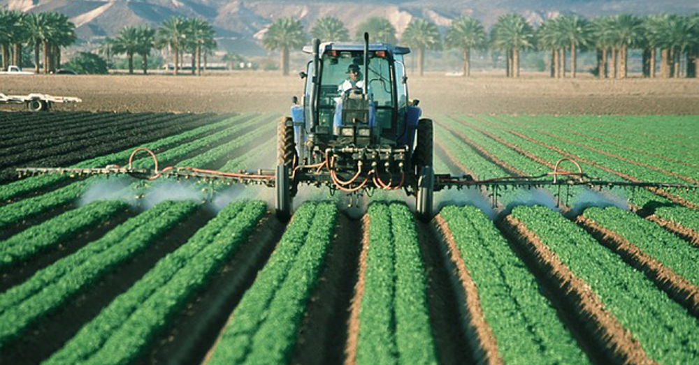 Farmer spraying pesticides in a crop field