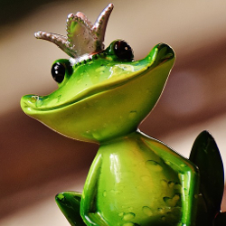 Green frog prince wearing a crown