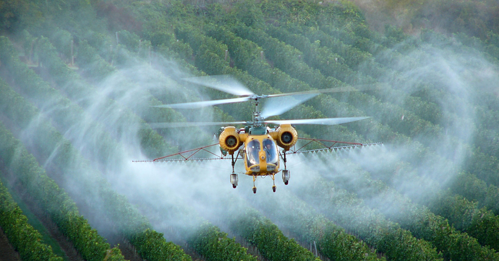 Monsantos herbicide glyphosate being applied via helicopter