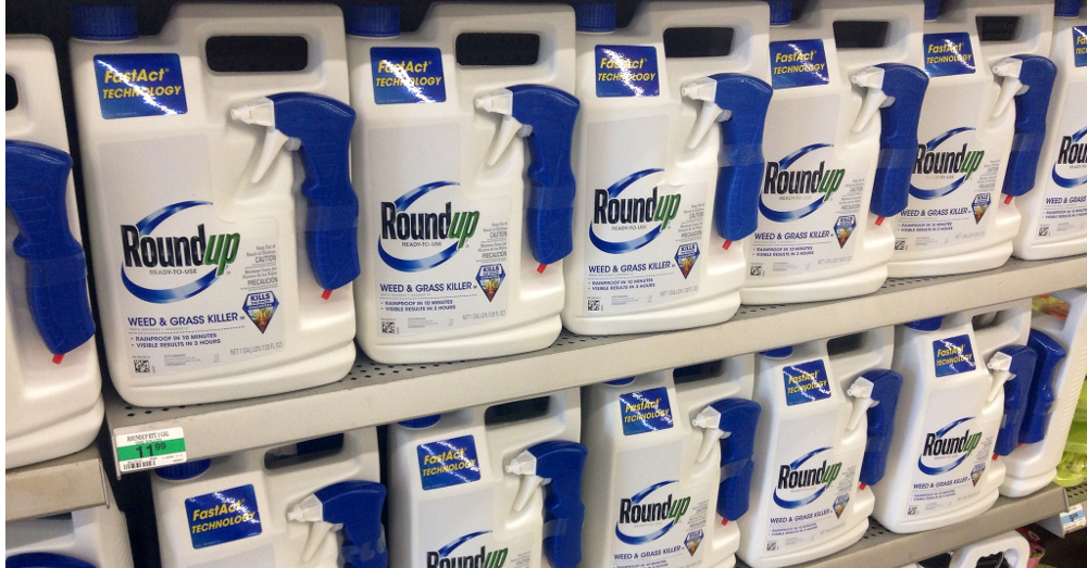 Monsantos Roundup for sale on a stores display shelves