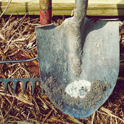 Shovel and rake gardening tools leaning in dirt