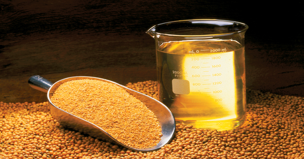 Soybeans and soybean oil