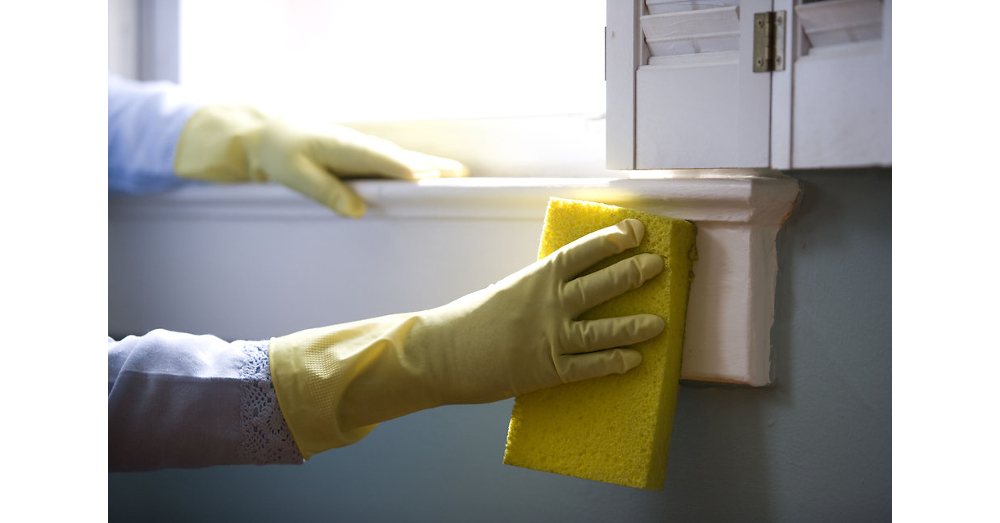 Cleaning the house with sponge in hand